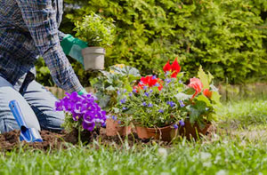 Garden Maintenance UK