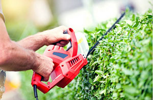 Hedge Trimming Scarcliffe